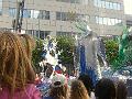 2007 Zomercarnaval
